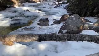 What the WWCrew in Custer National Forest