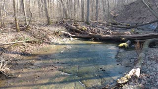 Relaxing creek