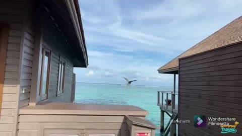 Madlives water villas