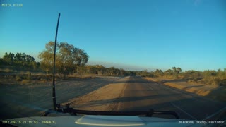 Kangaroo Jumps in Front of Car