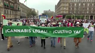 Mexicans spark up for marijuana legalization