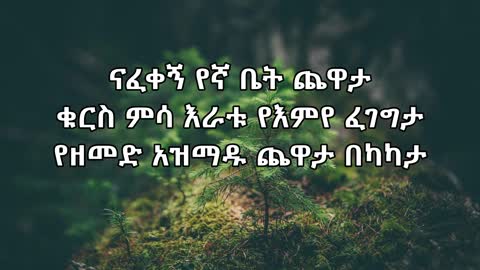 ጅጋየሁ ሽባባው ጂጂ - ናፈቀኝ Ejigayehu Shibabaw- Nafekegn Ethiopian music (Lyrics Video)