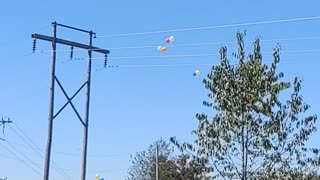 Releasing Balloons.
