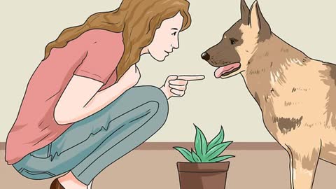 Your Dog Is Eating Your Plants, So What Should You Do?