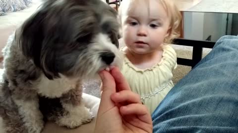 Puppy and baby both eagerly await snacks