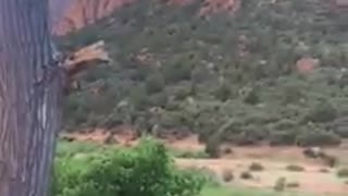 Zion National Park Scenic Canyon Route