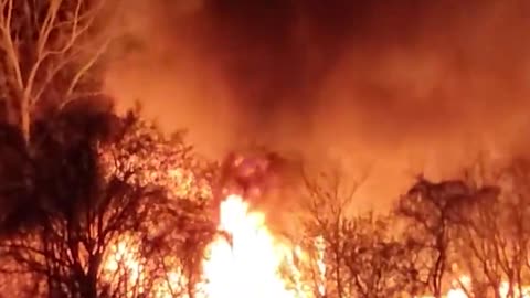 Forest Fire Rages In New Jersey