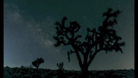 "Contact In The Desert" Where You'll Spend Money All Through The Night Looking For UFOs