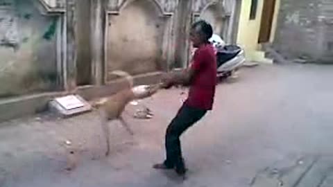 Man goes merry go round with street dog