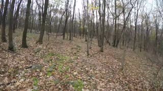 Hiking the Appalachian Trail in Rocky Pennsylvania