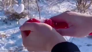 play with snow
