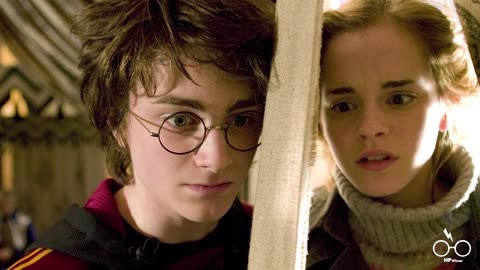 5 absolut heftige Harry Potter Theorien