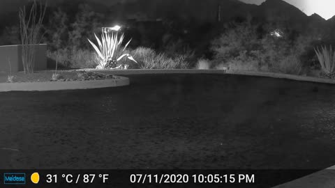 Night video of a monsoon starting