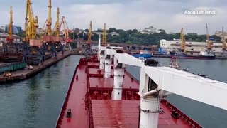 Ukraine grain ship engineer describes crew's fears