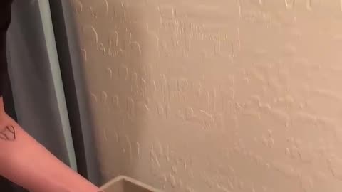 Wife prank with husband in washroom
