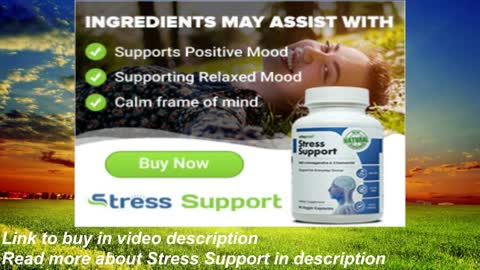 Do you feel stressed? Relieve your stress with Stress Support!