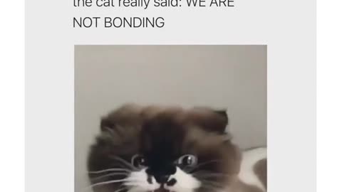 Nope Not Bonding