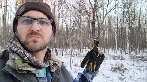 Ep 136 [Heavy Deer Browsing] Landscaping for Whitetails #thedeerwizard
