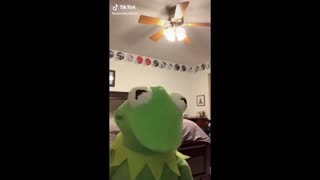 Kermit On Tik Tok Meme Compilation 1