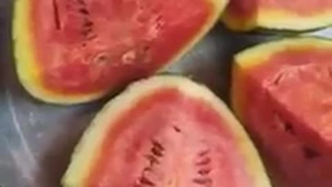 Watermelon Fruit -Reality check