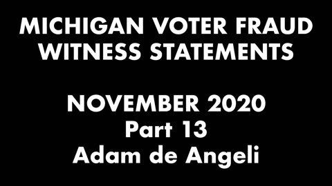 2020 Election - Adam de Angeli Sat Heard Pollworker Training Against Michigan Regulations