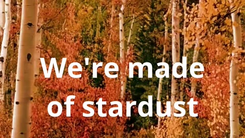 We're made of sturdust