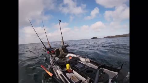Man Jumps Into Water And Removes Bait From Hook As Shark Pulls Kayak Towards Them