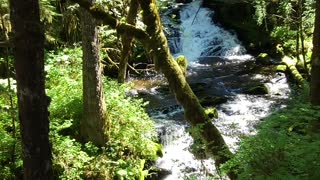 Relaxing water fall in Ketchikan Alaska.