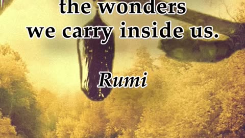 Quick thought. Rumi. #shorts