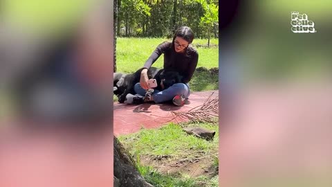 Dog makes muddy mess😮😂 | funniest animals videos