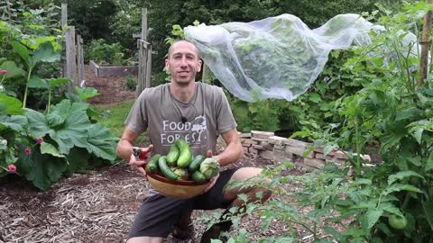 Unbelievable Organic Garden Harvest, This is What I Harvested Today!