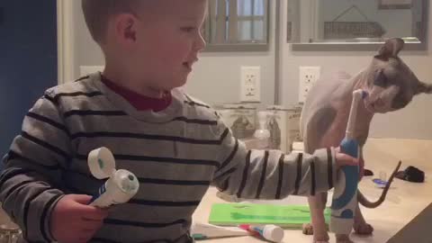 Toddler and sphynx brush teeth together