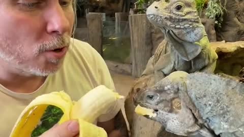 Sharing is caring, but leave the sharing with reptiles to me! 🍌