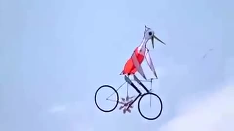 I see a stork cycling on the sky