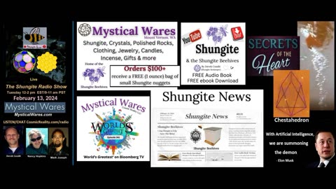 SHUNGITE REALITY 2/13/24 - Water, Heart, Possessed AI, Shungite News