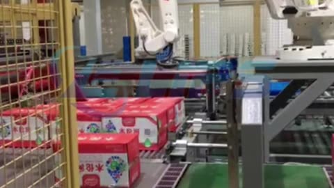 Robot carton palletizer with roller type gripper #packaging#palletizer#robot#foryou