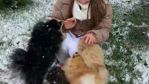 Vertical Video of a Woman Playing with the Dogs During Snow Fall