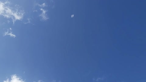 Manage to Spot A -Kite At The Suva City Seawall- Flying Kite Season -Begins