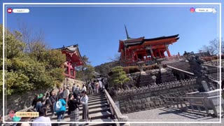 八坂神社 🇯🇵Japan vlog 清水寺