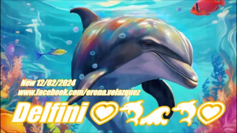 New 12/02/2024 Delfini 💗🐬🌊🌎🌊🐬💗