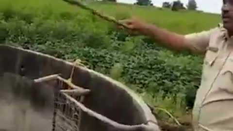 Happy rescue! The leopard that fell into the well with water