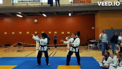 Tiger Martial Arts Taekwondo Hapkido / Krav Jujitsu Training Northwest Indiana