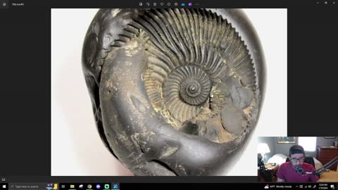 Underground Science #382 - Chaining Ammonites