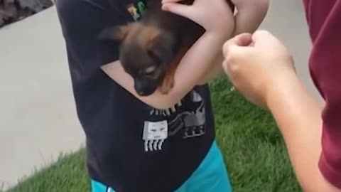 A child crying after receiving a gift from a cat