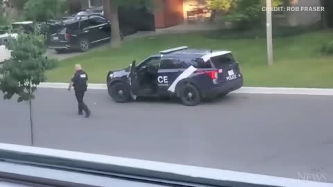 WATCH: Wild turkey faces off against Canadian police officer