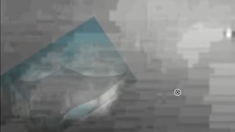 is the unknown object in gulf of Mexico a manta ray
