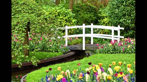 Beautiful yards and landscaping ideas|amazing nature garden design