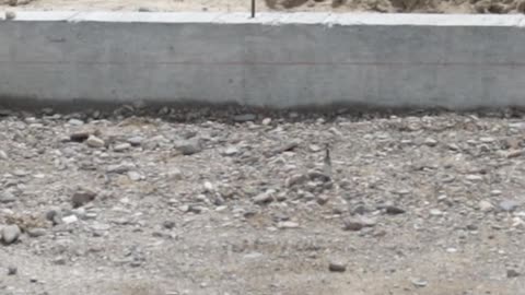 Why you should use concrete screed chairs