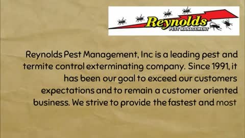 pest control pompano beach fl