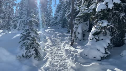 Crossing Trail Junction – Central Oregon – Swampy Lakes Sno-Park